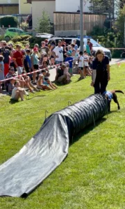 3 Suchhundestaffel der Berwacht beim Einsatz